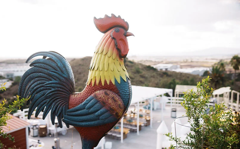 view of venue with rooster stand